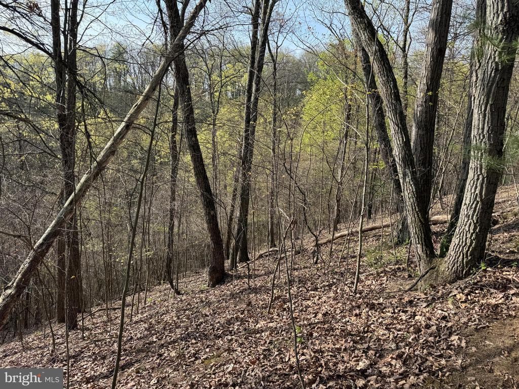 Property photo #50 for 7.38+/- Acres Sassafras Rd, Petersburg, PA 16669