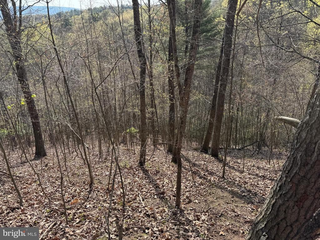 Property photo #51 for 7.38+/- Acres Sassafras Rd, Petersburg, PA 16669