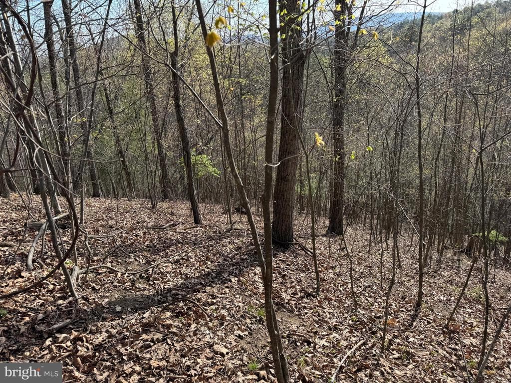 Property photo #52 for 7.38+/- Acres Sassafras Rd, Petersburg, PA 16669