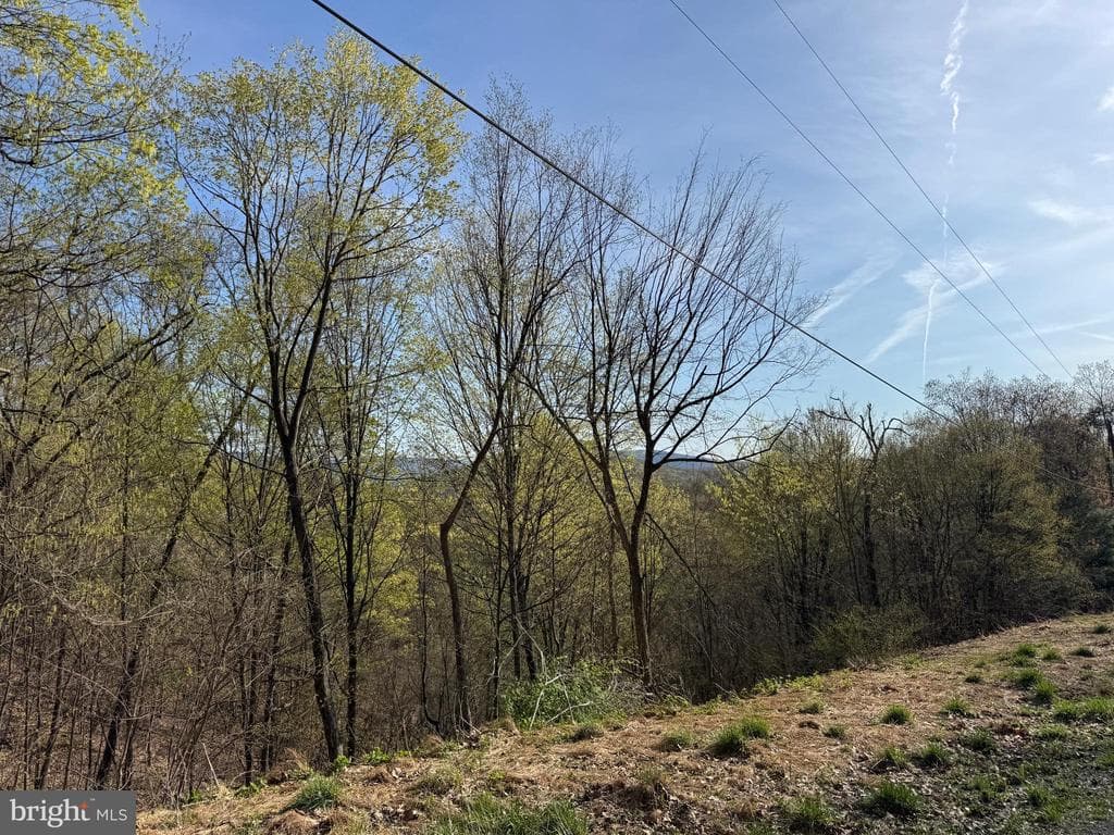 Property photo #53 for 7.38+/- Acres Sassafras Rd, Petersburg, PA 16669