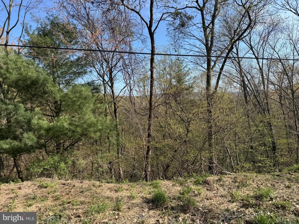Property photo #54 for 7.38+/- Acres Sassafras Rd, Petersburg, PA 16669