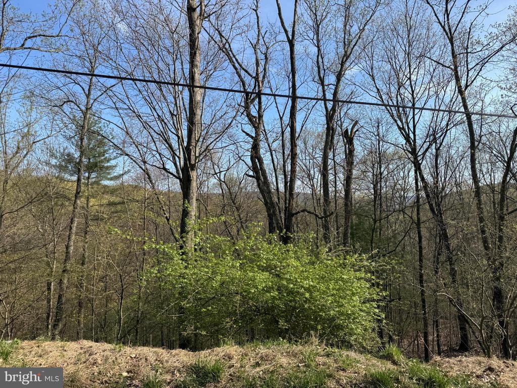 Property photo #55 for 7.38+/- Acres Sassafras Rd, Petersburg, PA 16669