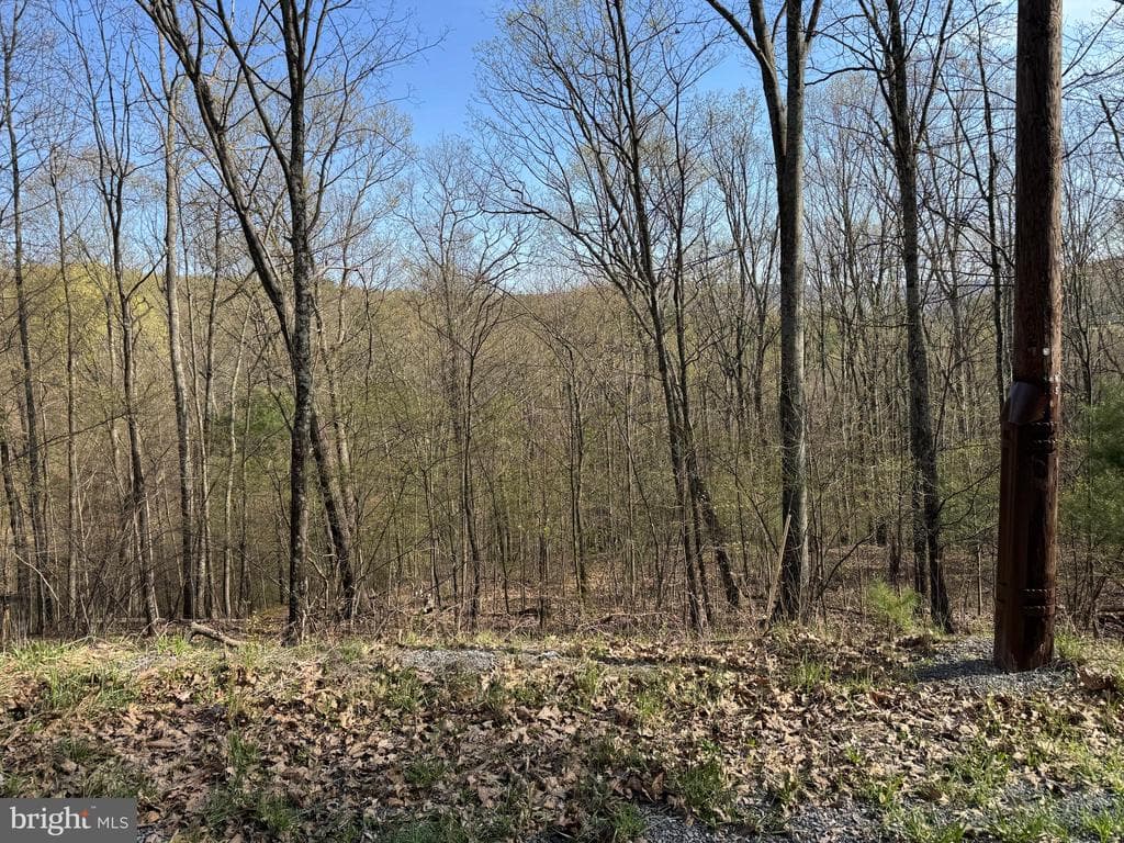 Property photo #56 for 7.38+/- Acres Sassafras Rd, Petersburg, PA 16669
