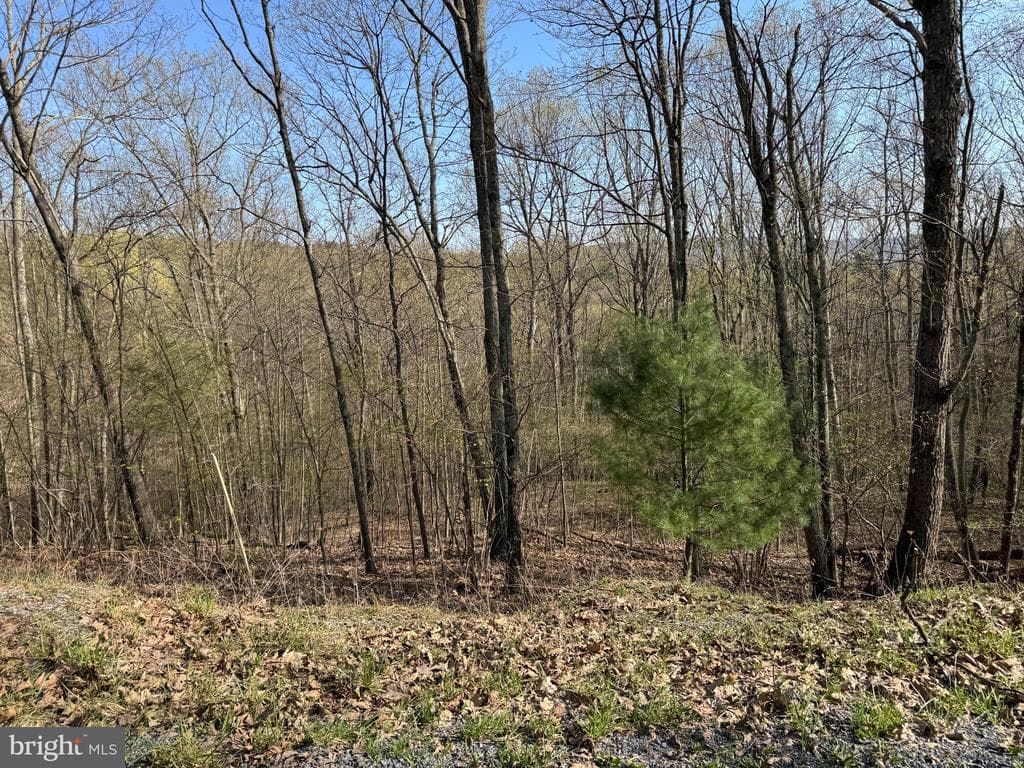 Property photo #57 for 7.38+/- Acres Sassafras Rd, Petersburg, PA 16669