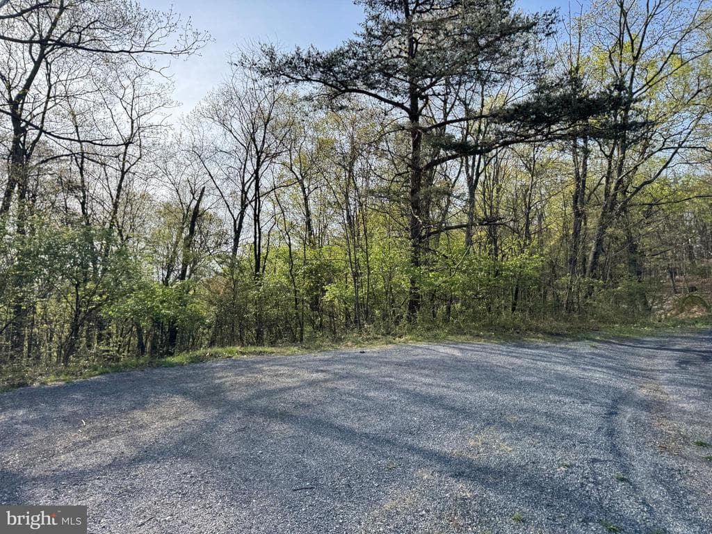 Property photo #6 for 7.38+/- Acres Sassafras Rd, Petersburg, PA 16669