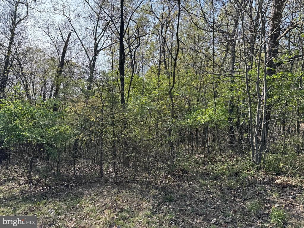 Property photo #8 for 7.38+/- Acres Sassafras Rd, Petersburg, PA 16669