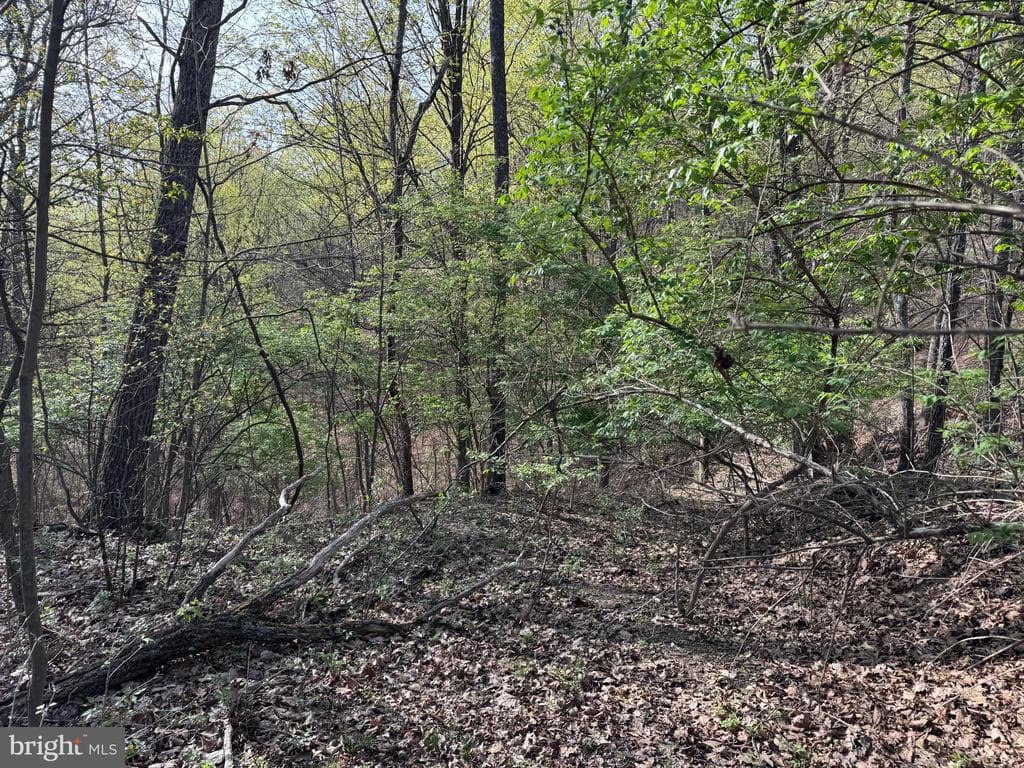 Property photo #9 for 7.38+/- Acres Sassafras Rd, Petersburg, PA 16669
