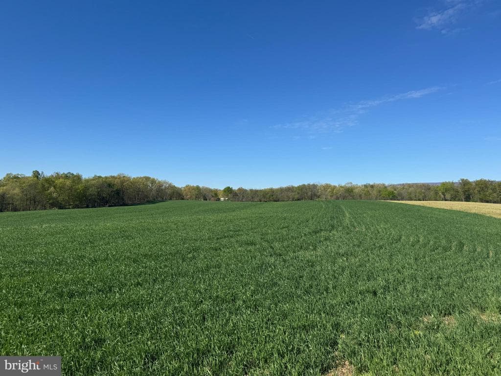 Property photo #10 for 131+/- Acres Asper Rd, Newville, PA 17241