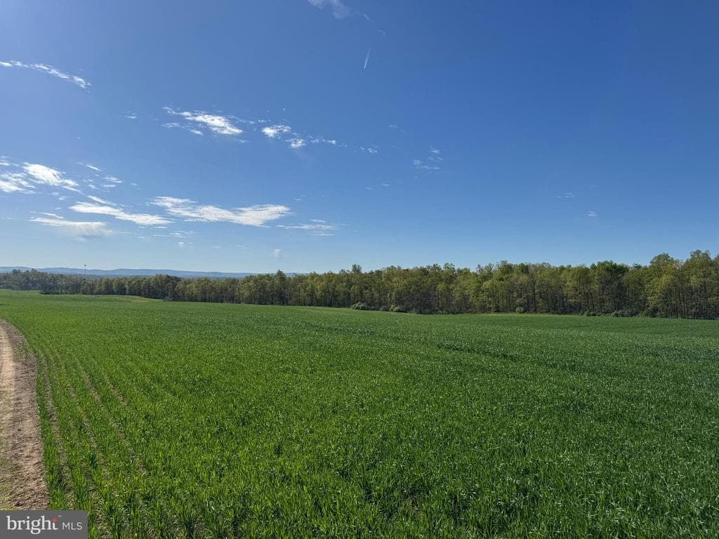 Property photo #11 for 131+/- Acres Asper Rd, Newville, PA 17241
