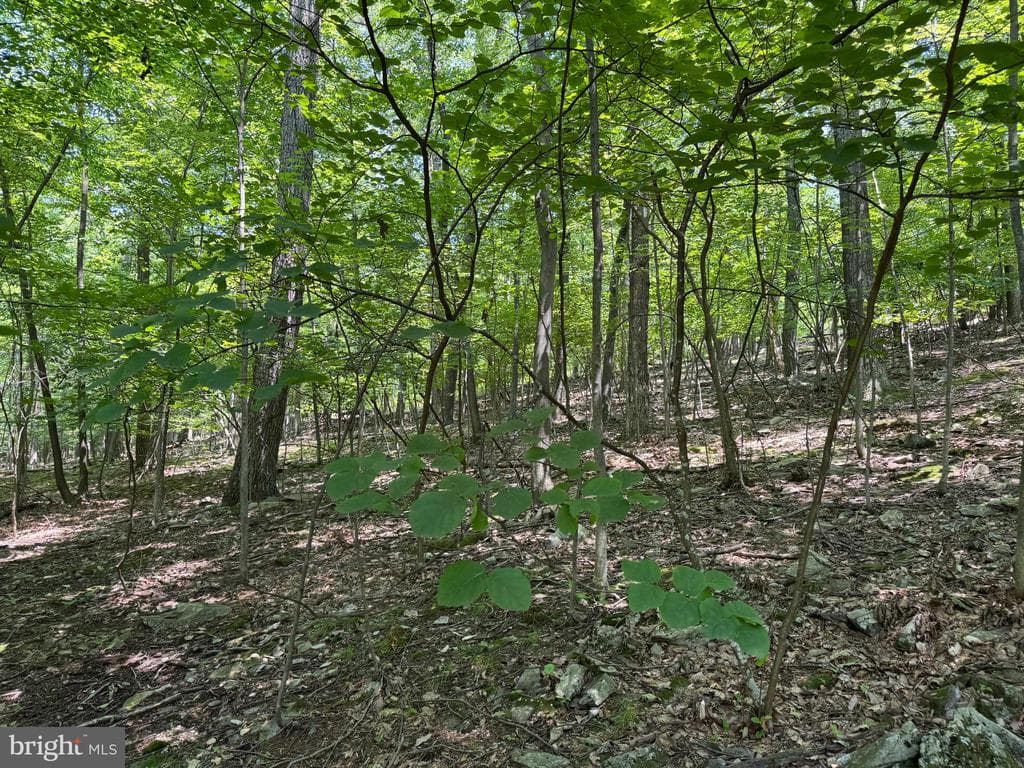 Property photo #27 for 14527 Tower Rd, Smithsburg, MD 21783