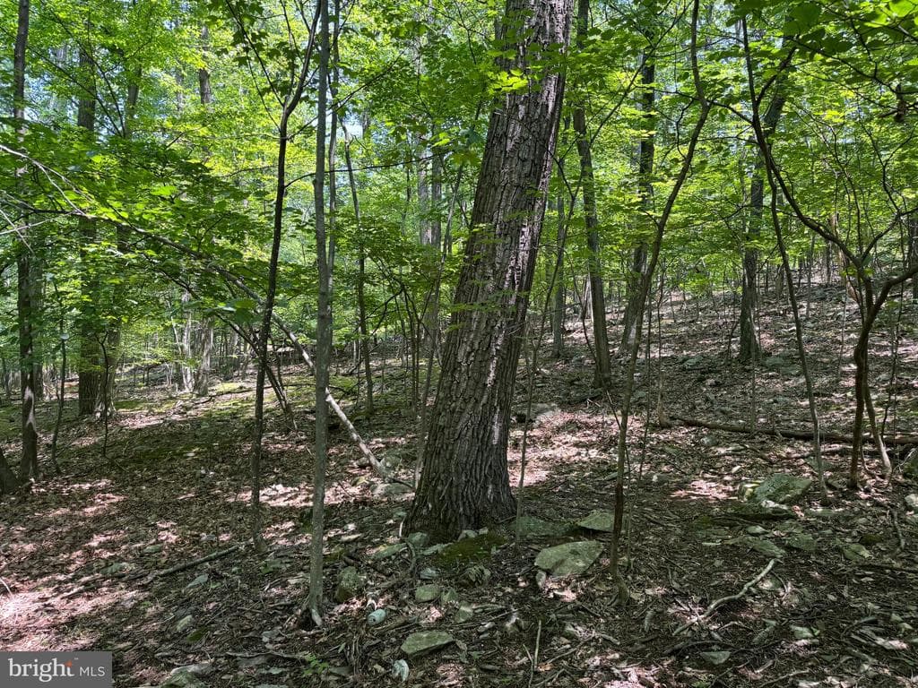 Property photo #28 for 14527 Tower Rd, Smithsburg, MD 21783