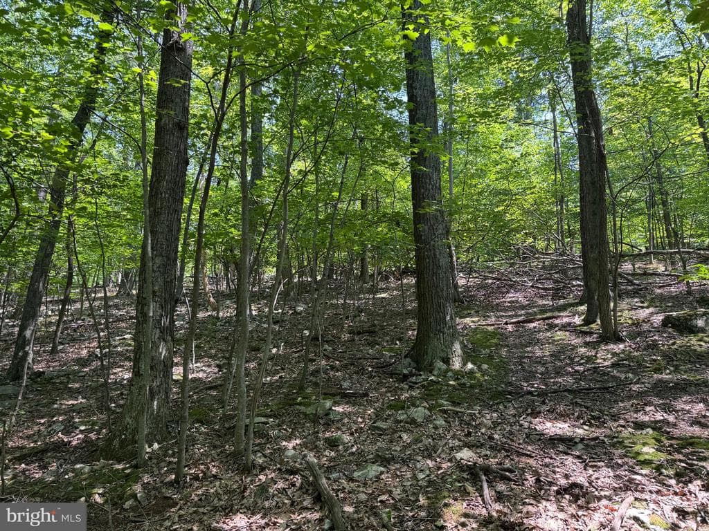 Property photo #29 for 14527 Tower Rd, Smithsburg, MD 21783