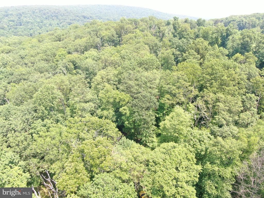 Property photo #3 for 14527 Tower Rd, Smithsburg, MD 21783