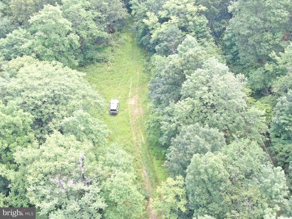 Property photo #12 for 42.68+/- Acres on Hunter Rd, Mercersburg, PA 17236