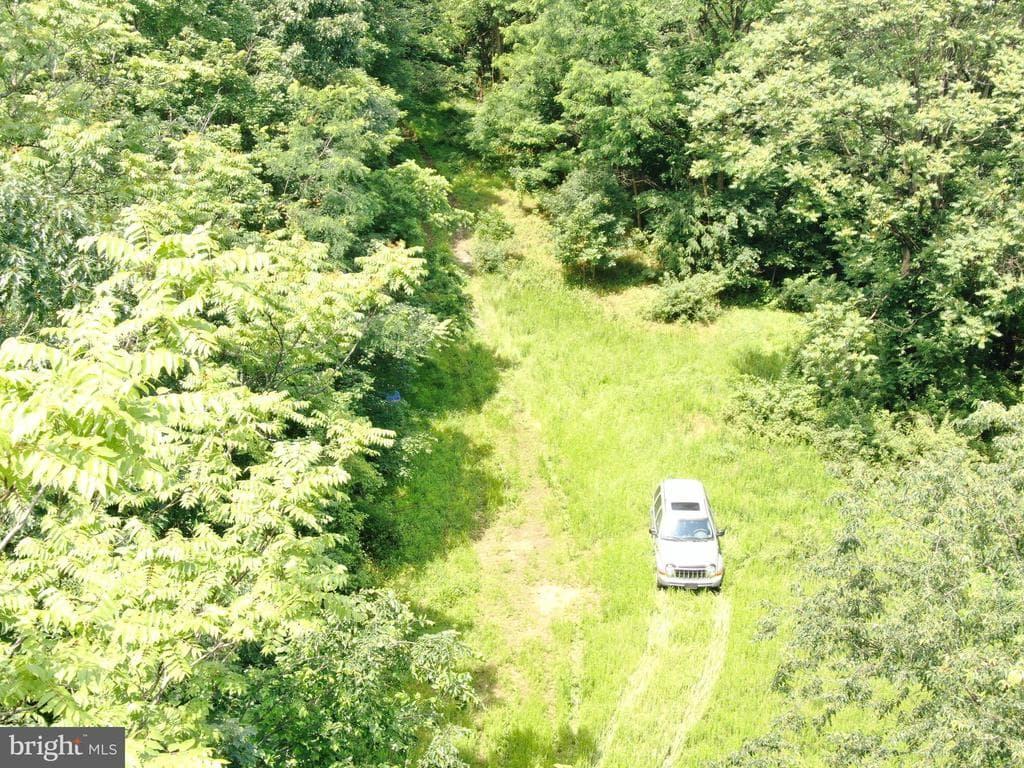 Property photo #20 for 42.68+/- Acres on Hunter Rd, Mercersburg, PA 17236