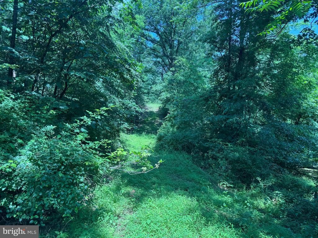 Property photo #21 for 42.68+/- Acres on Hunter Rd, Mercersburg, PA 17236