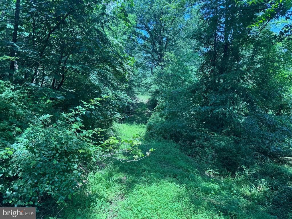Property photo #22 for 42.68+/- Acres on Hunter Rd, Mercersburg, PA 17236