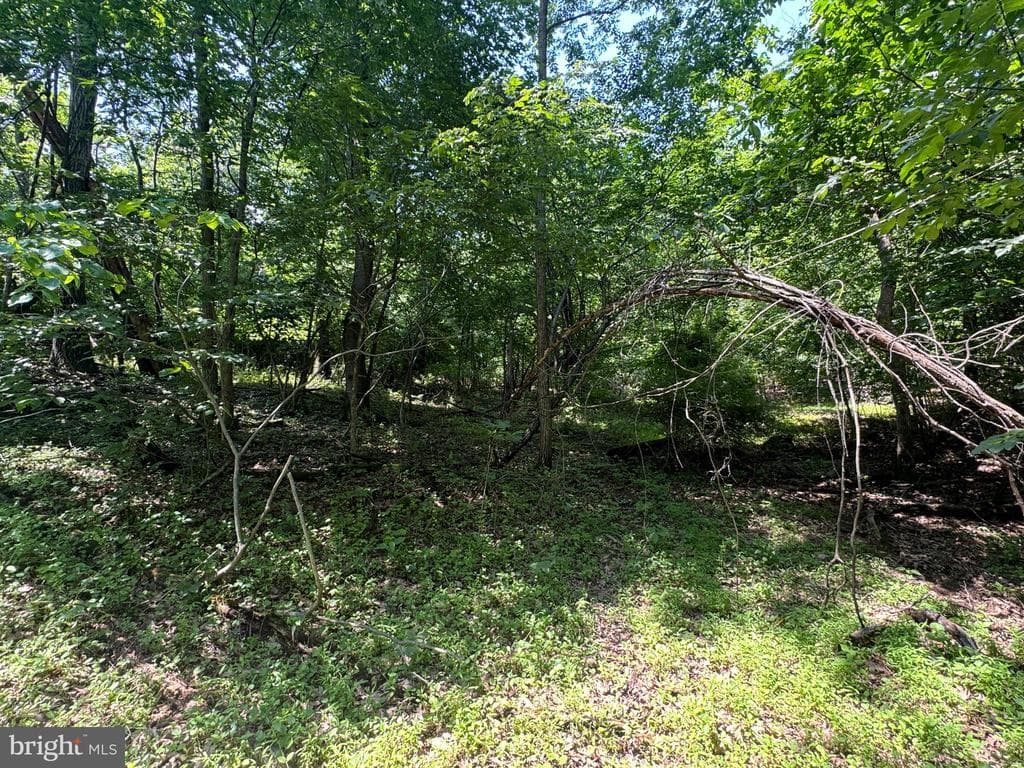 Property photo #23 for 42.68+/- Acres on Hunter Rd, Mercersburg, PA 17236