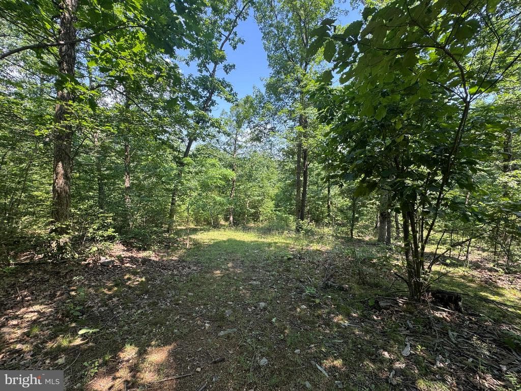 Property photo #25 for 42.68+/- Acres on Hunter Rd, Mercersburg, PA 17236