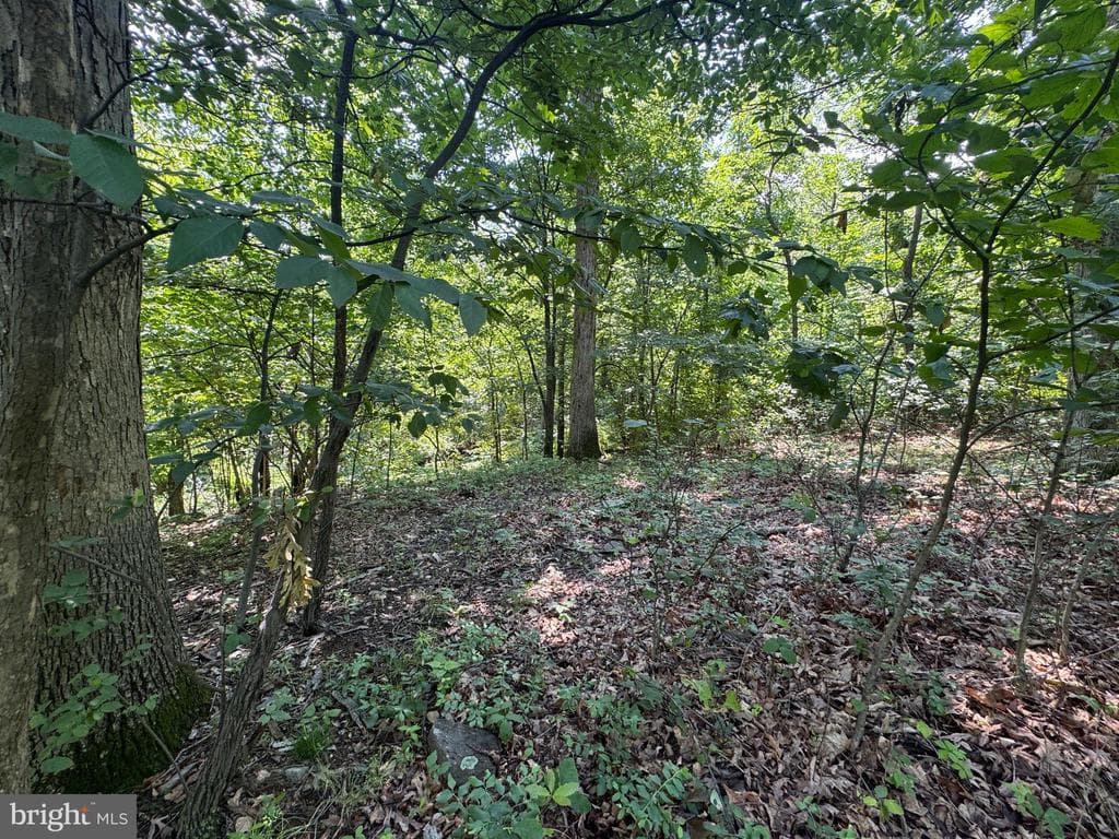Property photo #26 for 42.68+/- Acres on Hunter Rd, Mercersburg, PA 17236