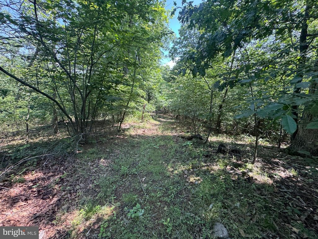 Property photo #27 for 42.68+/- Acres on Hunter Rd, Mercersburg, PA 17236