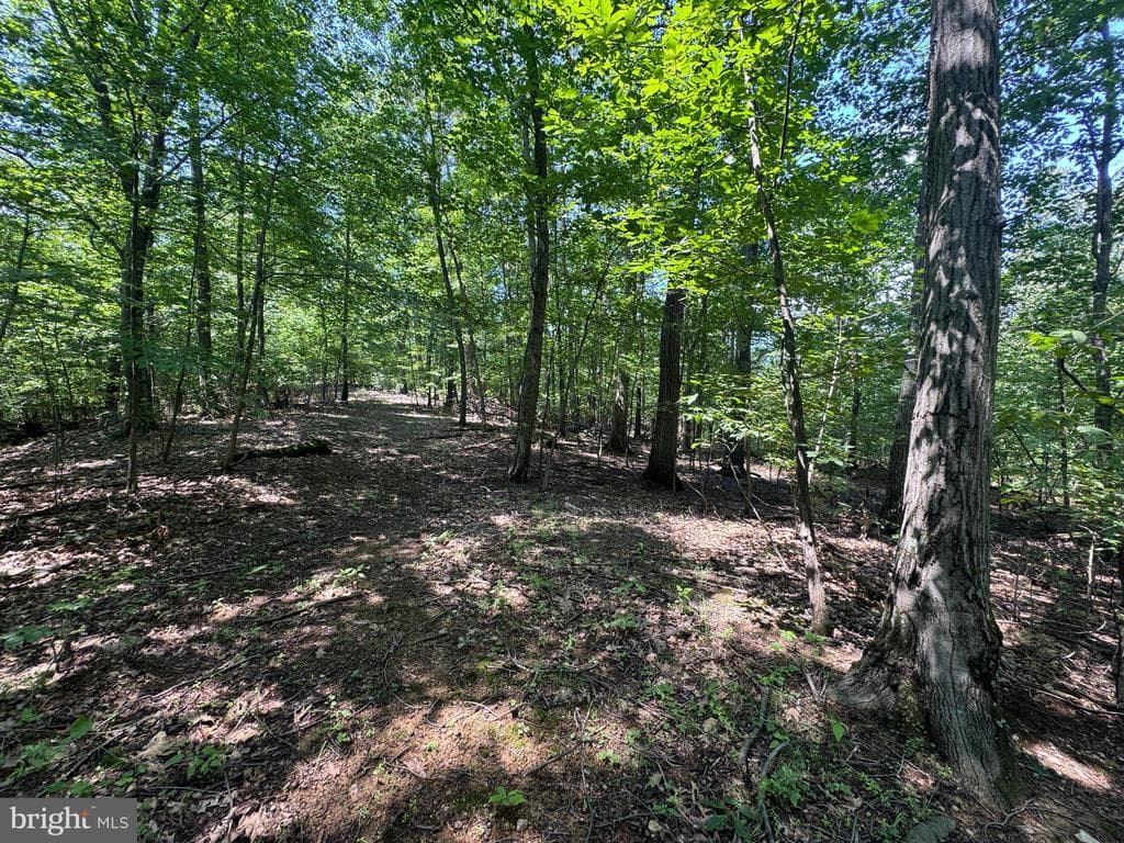Property photo #29 for 42.68+/- Acres on Hunter Rd, Mercersburg, PA 17236