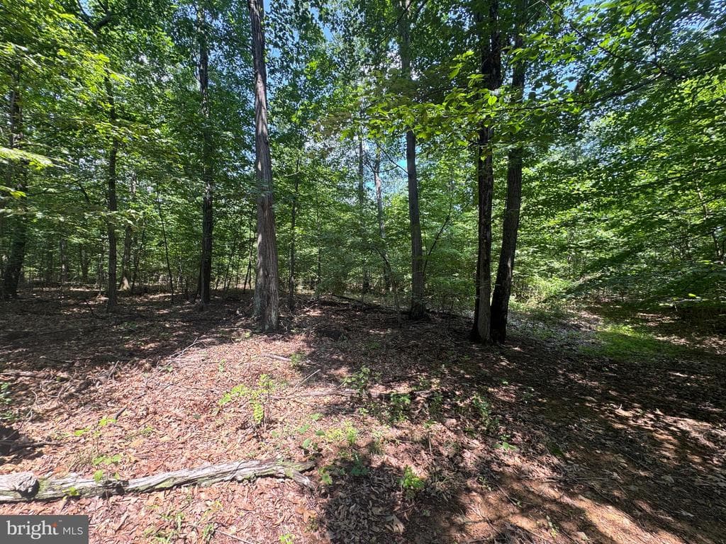Property photo #30 for 42.68+/- Acres on Hunter Rd, Mercersburg, PA 17236