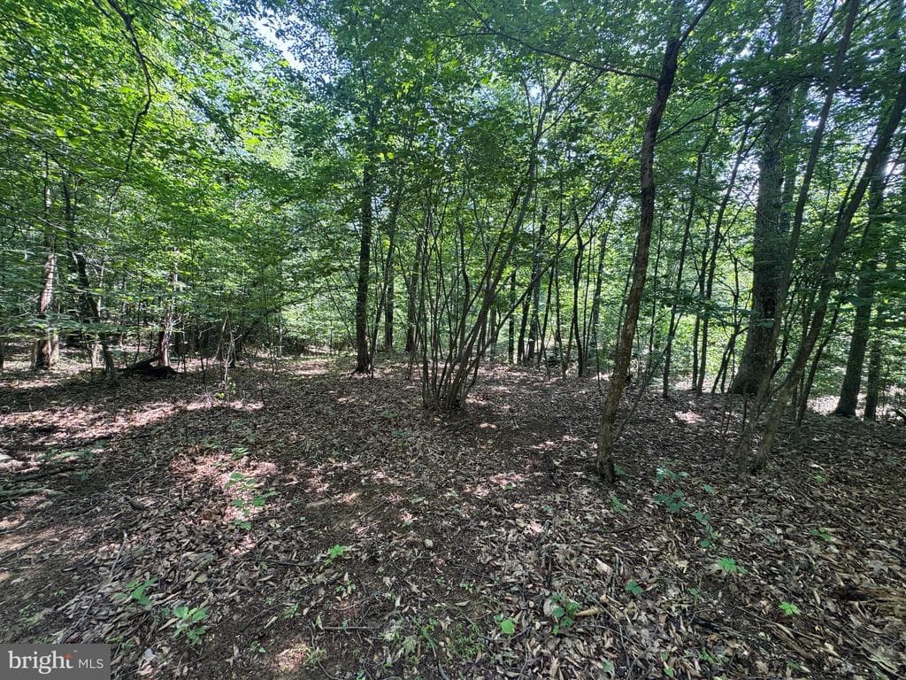 Property photo #31 for 42.68+/- Acres on Hunter Rd, Mercersburg, PA 17236