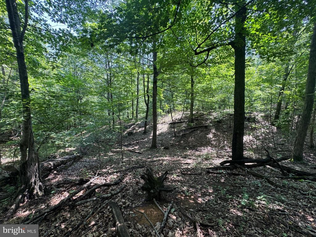 Property photo #32 for 42.68+/- Acres on Hunter Rd, Mercersburg, PA 17236