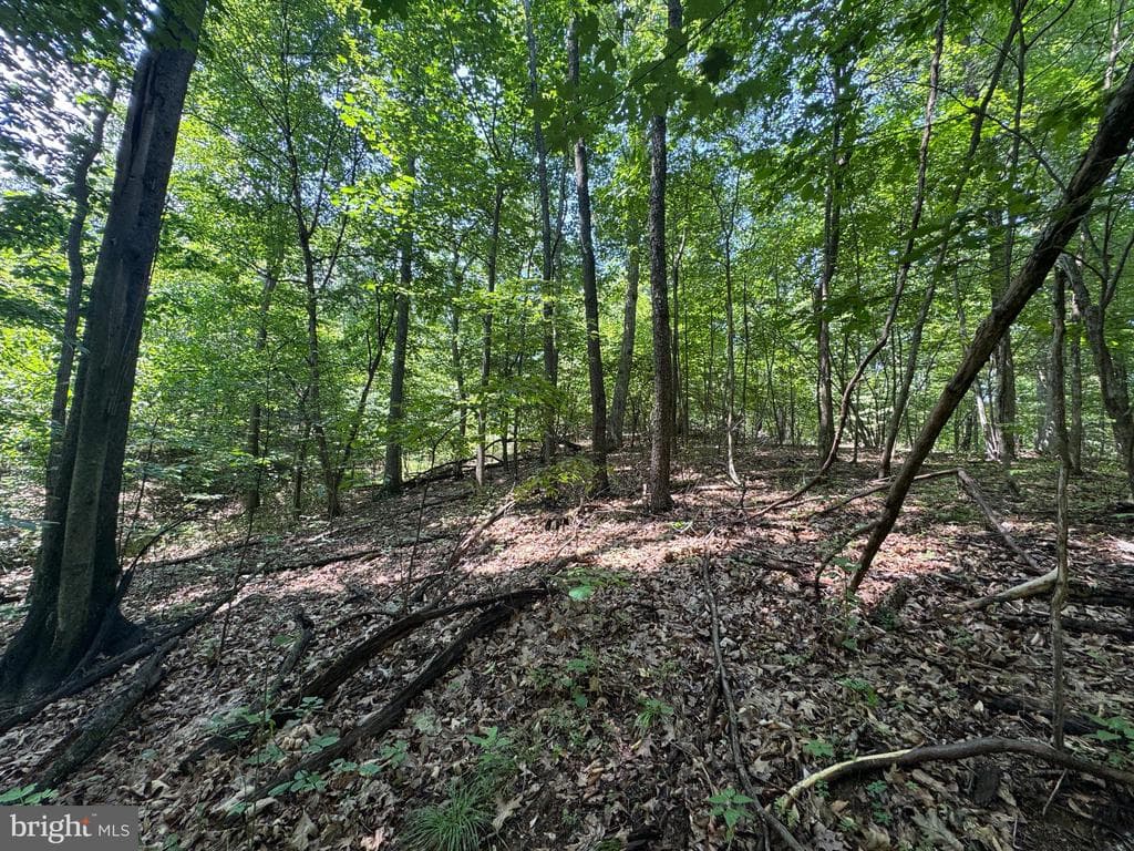 Property photo #33 for 42.68+/- Acres on Hunter Rd, Mercersburg, PA 17236