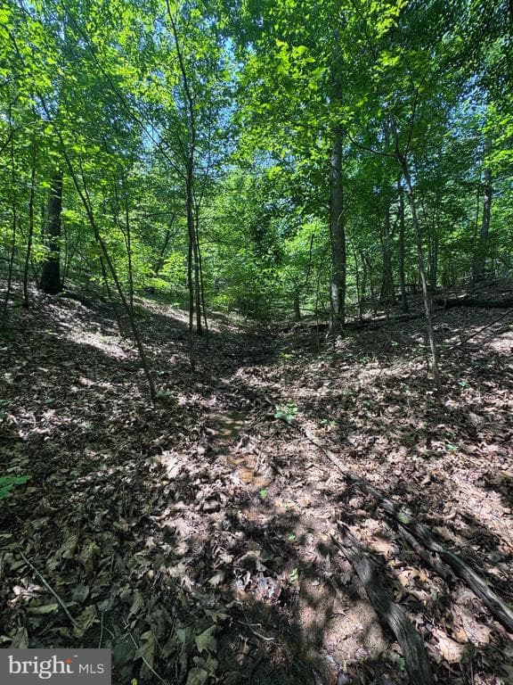 Property photo #34 for 42.68+/- Acres on Hunter Rd, Mercersburg, PA 17236