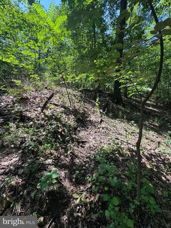 Property photo #35 for 42.68+/- Acres on Hunter Rd, Mercersburg, PA 17236