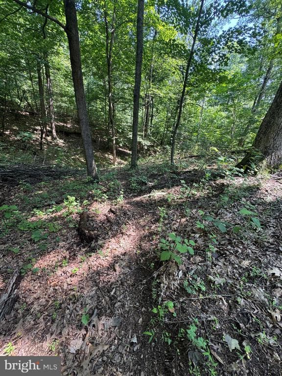 Property photo #36 for 42.68+/- Acres on Hunter Rd, Mercersburg, PA 17236