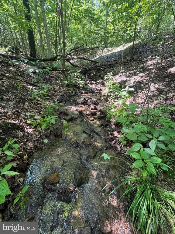 Property photo #37 for 42.68+/- Acres on Hunter Rd, Mercersburg, PA 17236