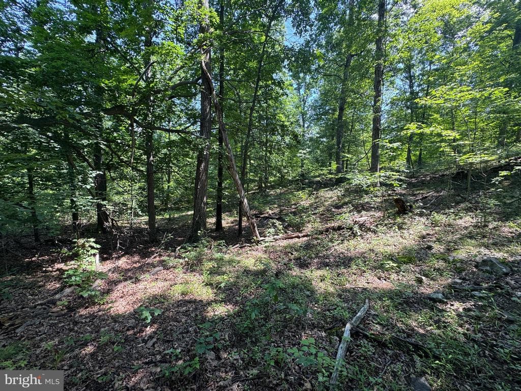 Property photo #38 for 42.68+/- Acres on Hunter Rd, Mercersburg, PA 17236