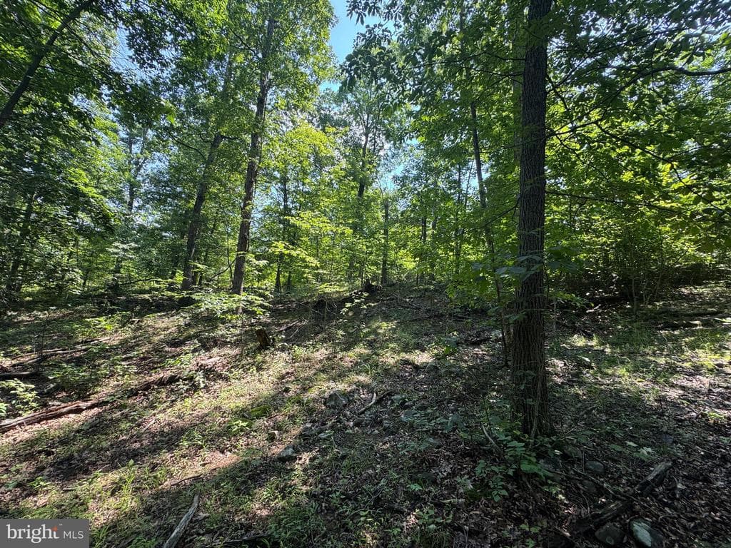 Property photo #39 for 42.68+/- Acres on Hunter Rd, Mercersburg, PA 17236