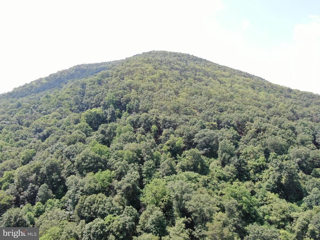 Property photo #4 for 42.68+/- Acres on Hunter Rd, Mercersburg, PA 17236