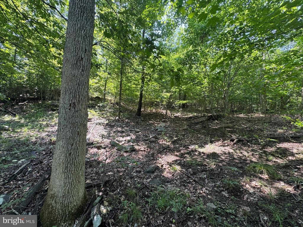 Property photo #40 for 42.68+/- Acres on Hunter Rd, Mercersburg, PA 17236
