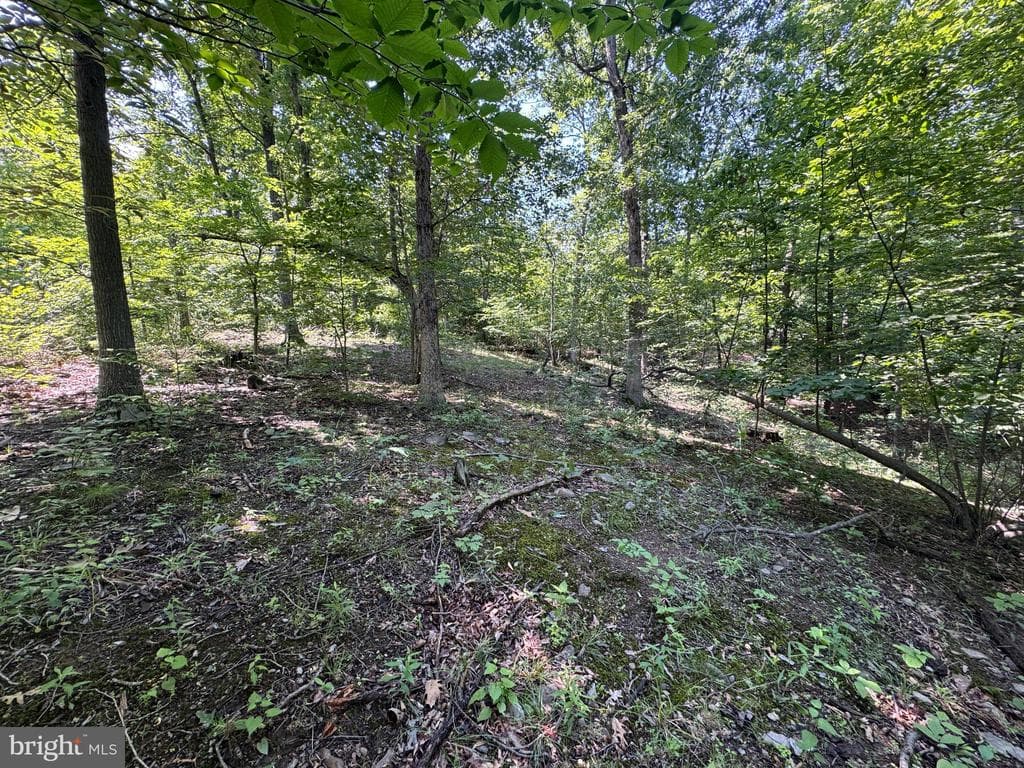 Property photo #41 for 42.68+/- Acres on Hunter Rd, Mercersburg, PA 17236