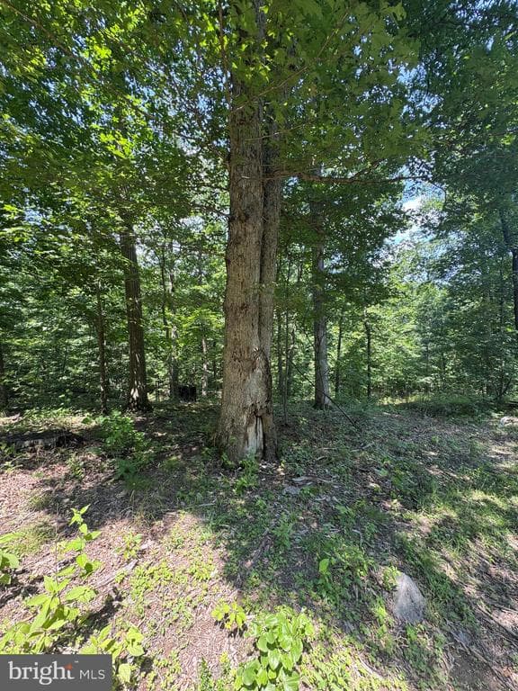 Property photo #42 for 42.68+/- Acres on Hunter Rd, Mercersburg, PA 17236