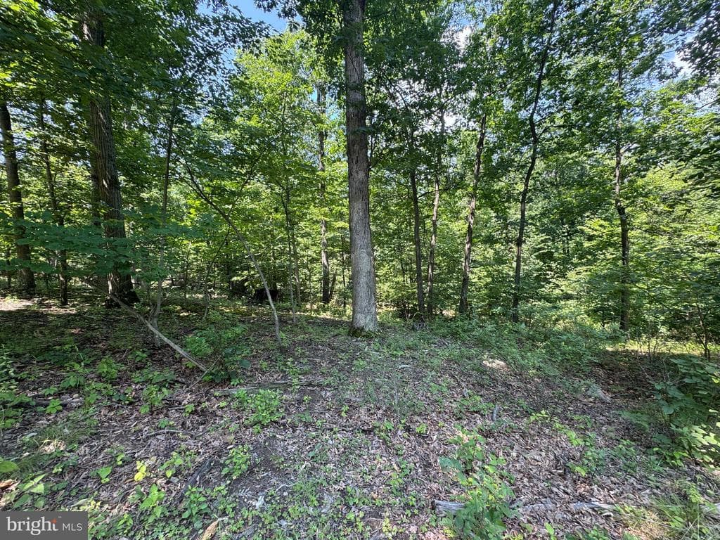Property photo #43 for 42.68+/- Acres on Hunter Rd, Mercersburg, PA 17236