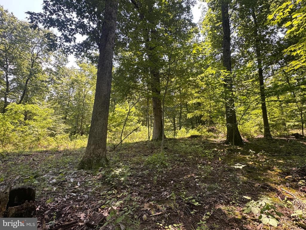 Property photo #44 for 42.68+/- Acres on Hunter Rd, Mercersburg, PA 17236