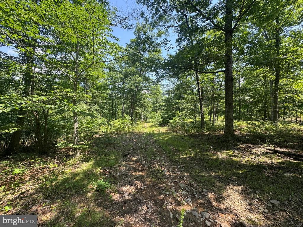 Property photo #45 for 42.68+/- Acres on Hunter Rd, Mercersburg, PA 17236