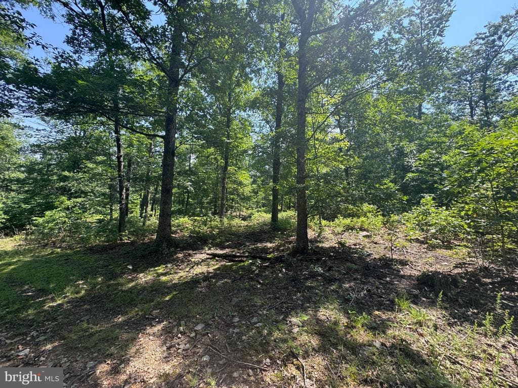 Property photo #46 for 42.68+/- Acres on Hunter Rd, Mercersburg, PA 17236