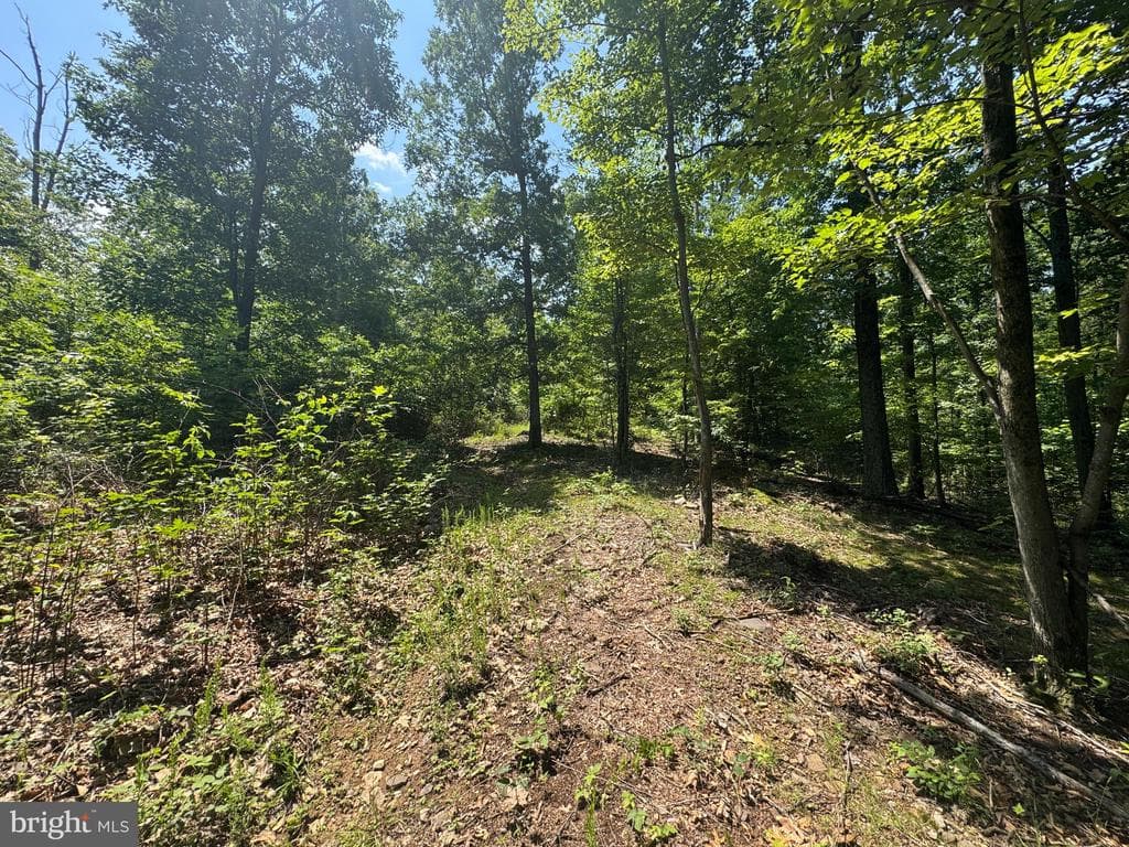 Property photo #47 for 42.68+/- Acres on Hunter Rd, Mercersburg, PA 17236