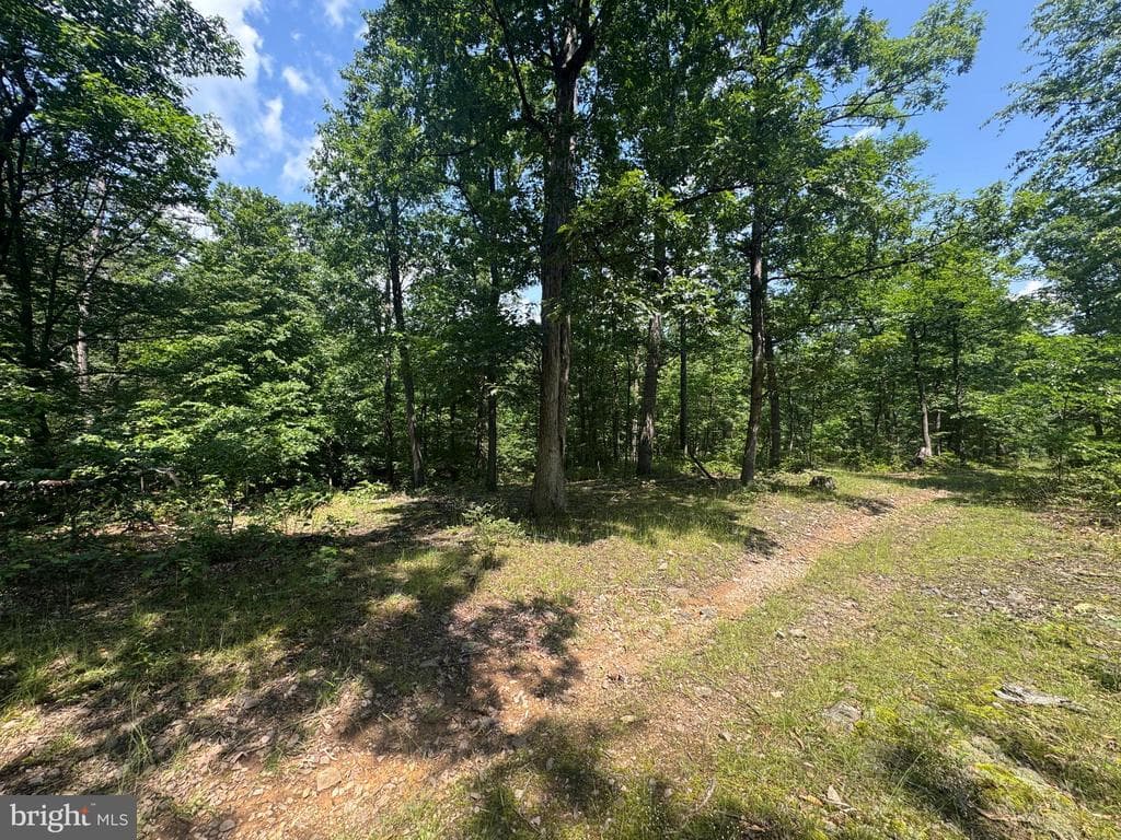 Property photo #48 for 42.68+/- Acres on Hunter Rd, Mercersburg, PA 17236