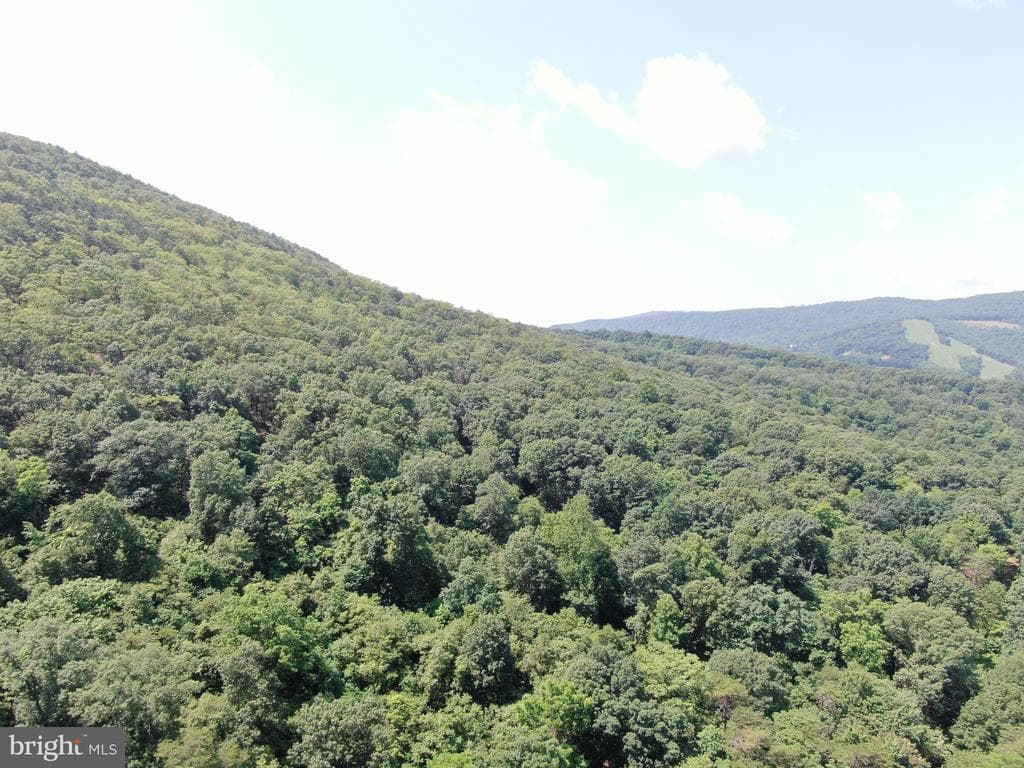 Property photo #5 for 42.68+/- Acres on Hunter Rd, Mercersburg, PA 17236