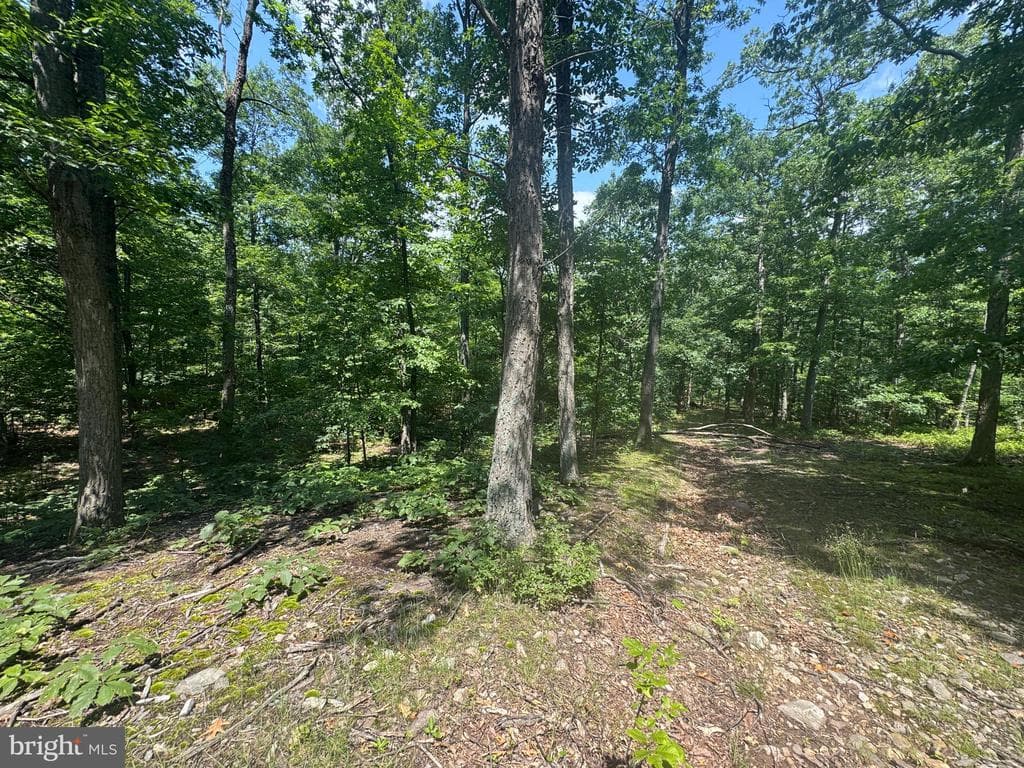 Property photo #50 for 42.68+/- Acres on Hunter Rd, Mercersburg, PA 17236