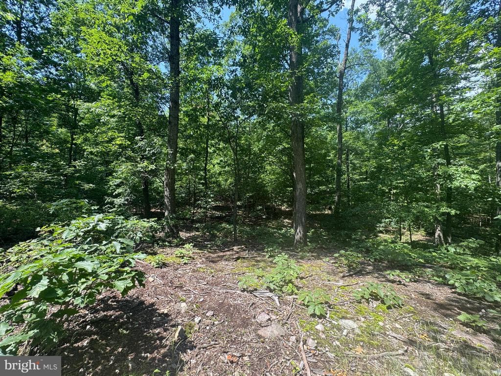 Property photo #51 for 42.68+/- Acres on Hunter Rd, Mercersburg, PA 17236