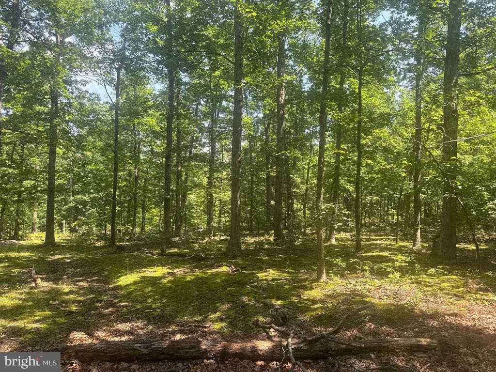Property photo #52 for 42.68+/- Acres on Hunter Rd, Mercersburg, PA 17236